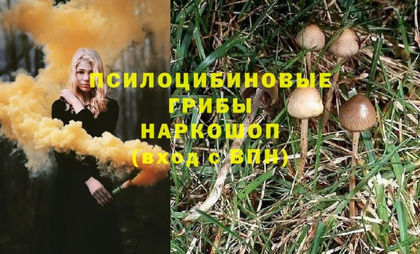 МДПВ Алексеевка