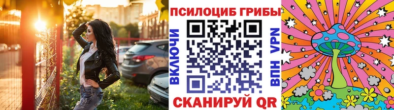 Галлюциногенные грибы мицелий  Теберда 
